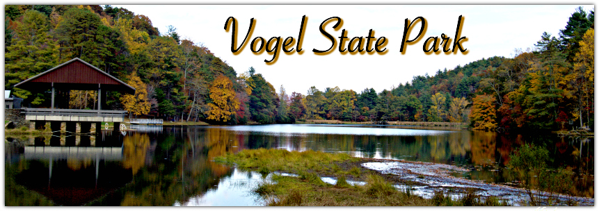 It get into much park? how cost to does vogel state Vogel State